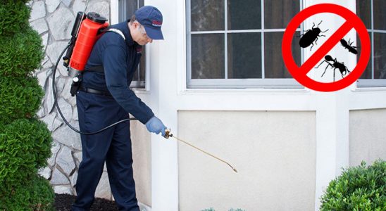 Alaçam Böcek İlaçlama böcek ilaçlama ve haşere kontrolü — ilaclama-tr.com